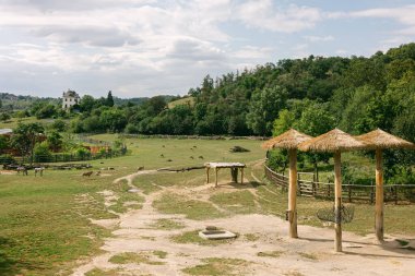 Çiftlik hayvanları bir evin yanındaki tarlada ot yiyorlar ve bulutlu açık bir gökyüzünün altında ağaçlar..