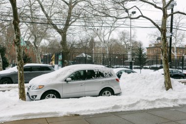 Arabalar kış günü bir parkın yanındaki cadde boyunca karla kaplıdır. Ağaçlar yaprak olmadan dururlar.