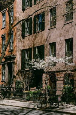 Şehirdeki bir caddede binalar ve çiçek açan ağaçlar yer yüzüne gölge düşürüyor..