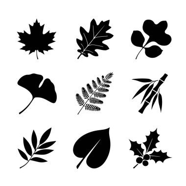 Yaprak Simgesi Ayarları. Vektör Tasarım Paketi Beyaz Arkaplanda izole edildi. Grunge Pullu Vektör İllüstrasyonu.