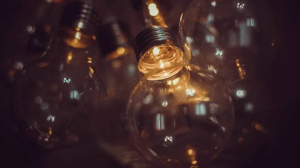 Electric garlands in the form of a light bulb shine in the dark