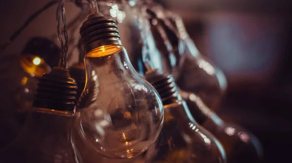 Electric garlands in the form of a light bulb shine in the dark