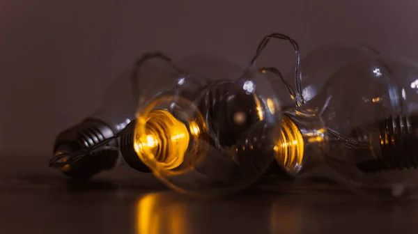 Electric garlands in the form of a light bulb shine in the dark