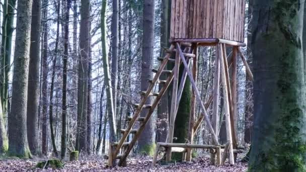 Jagdturm im Wald — Stockvideo