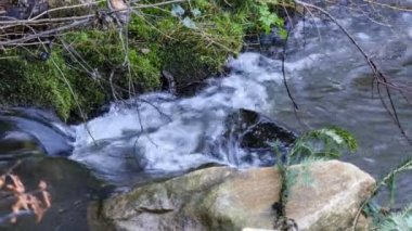 Orman şelale ve kayalar