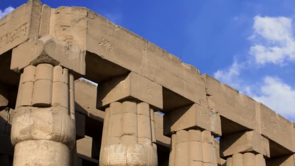 Luxor temple — Stock Video