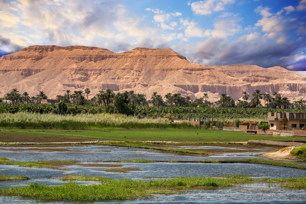 Nile in Egypt — Stock Photo, Image