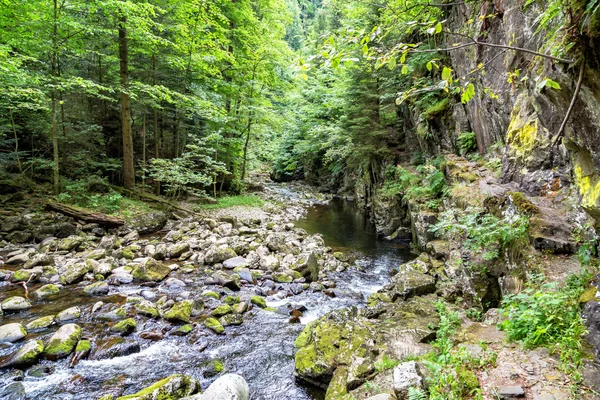 Torrent na floresta da Baviera — Fotografia de Stock