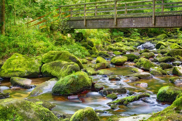 Torrente en el Bosque de Baviera Imagen De Stock