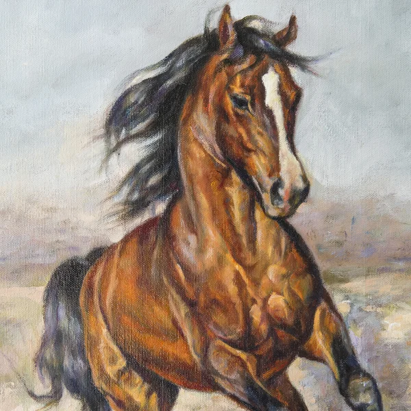 Festmény egy ló a versenyen Stock Fotó