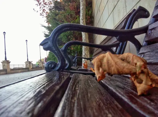 Lone Dry Maple Leaf Lying Bench Autumn Odessa Embankment — Stock Photo, Image