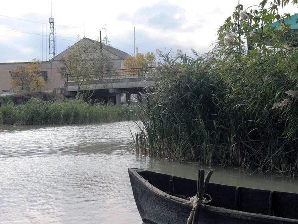 Tuna Nehri 'nin sazlıklarına demirlenmiş paslı kürek kilitleriyle eski bir tekne..