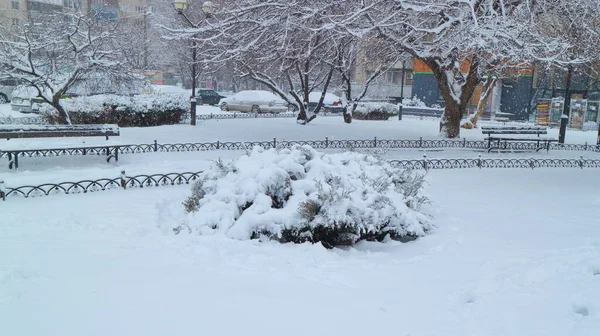 Pequeno Parque Coberto Neve Dos Distritos Odessa — Fotografia de Stock