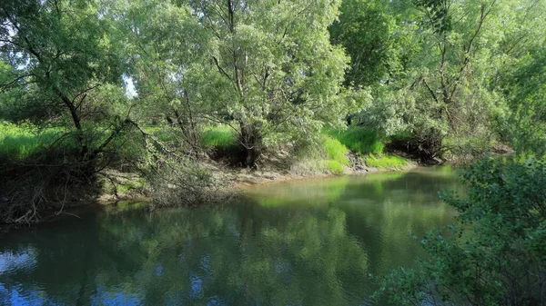 Sakin bir akıntısı ve yeşil suyu olan küçük pitoresk bir nehir yoğun yeşil bitki örtüsüyle alçak kıyılar boyunca akar..