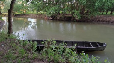 Orman nehri ve kıyıya yakın güzel ahşap bir teknesi olan pitoresk bir manzara..
