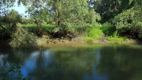 Paysage Une Rivière Avec Eau Verte Des Rives Envahies — Photo