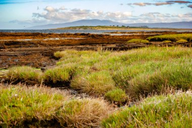 Broadford yakınlarındaki tuzlu bataklık, Skye Adası, İskoçya dalgalı sularda sert çimler, kayalık kıyılar ve seçici odaklı dağlarla