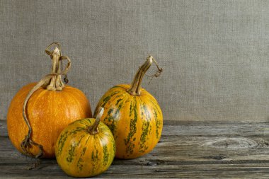 Ev yapımı kumaşın arka planında turuncu balkabakları. Metin için yer