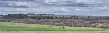 Spring panorama, landscape of fields, forests and cloudy sky