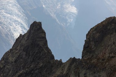 Büyük bir buzulun arkasındaki kayalık bir dağın tepesindeki dağ keçisi. Fransız Alpleri, Chamonix