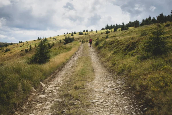 Karpat dağlarındaki Ukrayna-Romanya sınırı, Hiker bir turizm rotasının üstesinden geldi