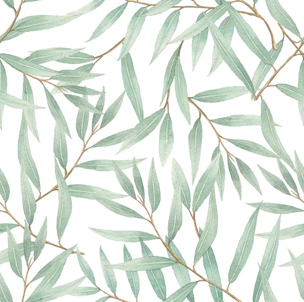 Aquarell nahtloses Muster mit Weidenzweigen und Blättern. — Stockfoto