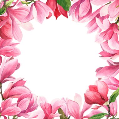 Manolya çiçekli suluboya çerçeve. Beyaz arkaplanda pembe çiçekler.