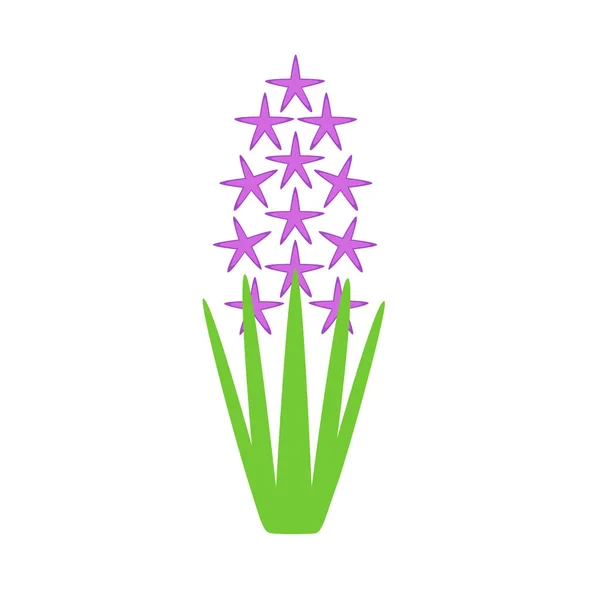 Flor de jacinto y hojas aisladas en blanco. Estilo plano. — Vector de stock