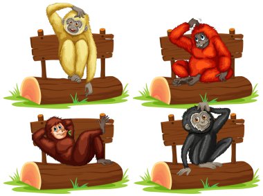 Dört gibbons işareti koyarak oturan