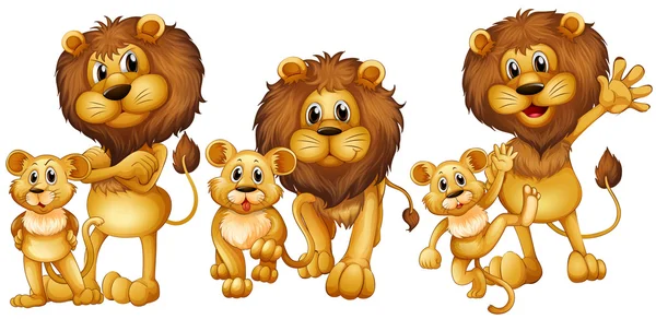 Lew i cub w trzech działań — Wektor stockowy