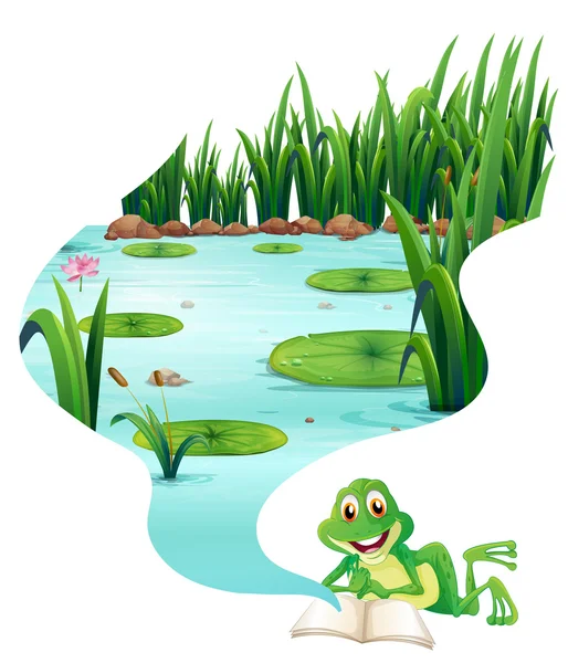 关于池塘里的青蛙看书 — 图库矢量图片