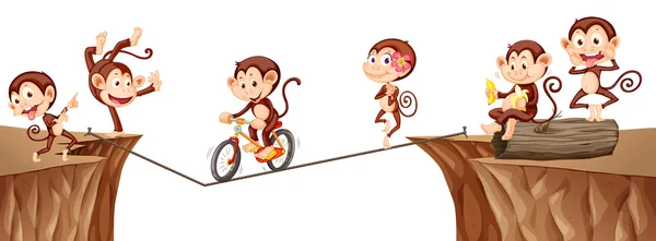 Monkeys playing on the rope — Stock Vector