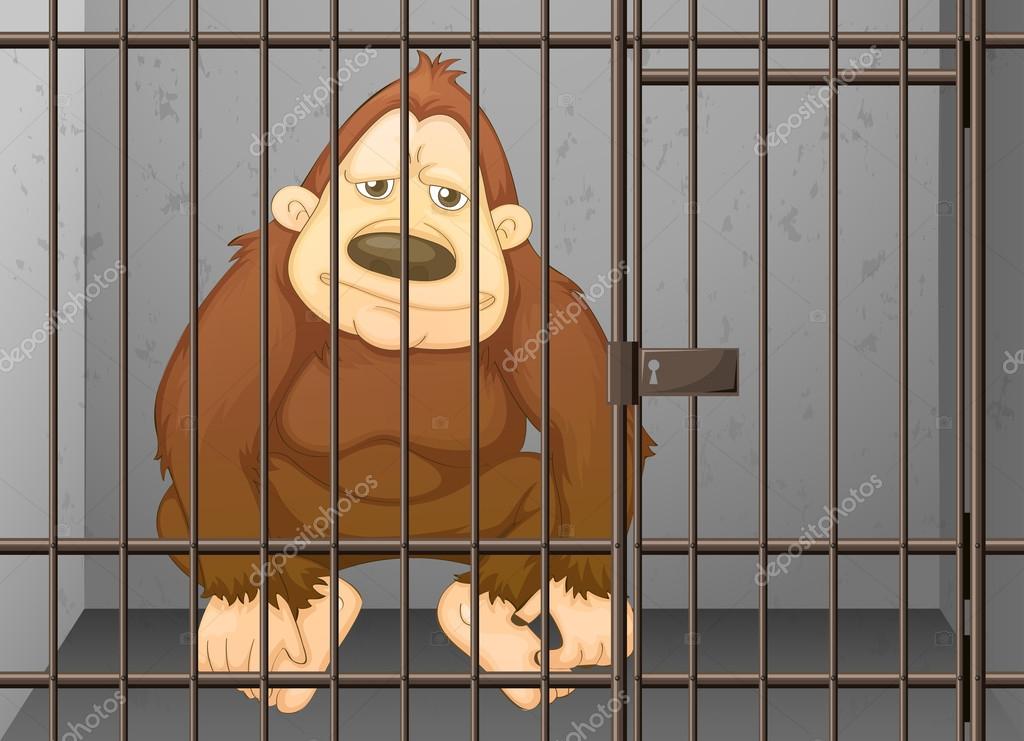 Chimpanzee being locked in the cage Stock Vector Image by