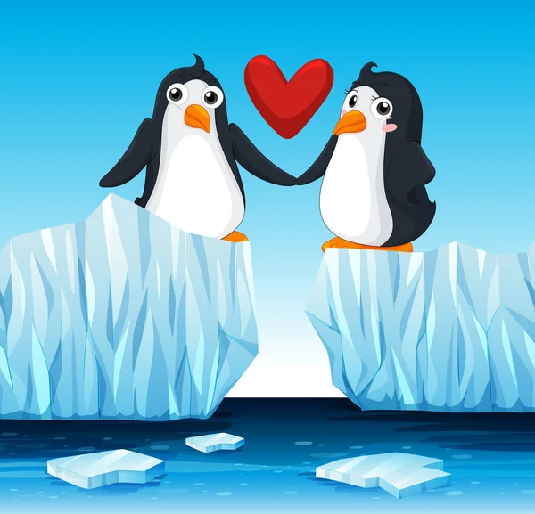 Pingüinos enamorados en el hielo — Vector de stock