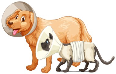 Köpek ve kedi yaka ile