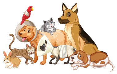 İncinmekten pet farklı tür
