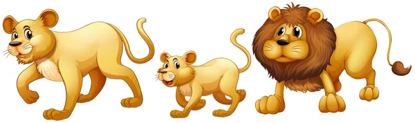 Lion family walking together — Stock Vector