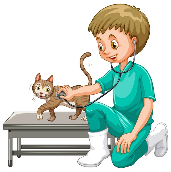 Vet examining little cat Stock Illustration