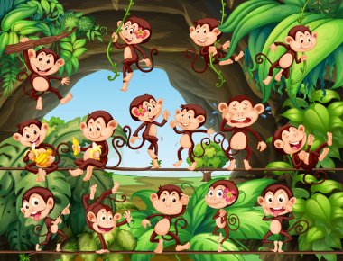 Ormanda yaşayan maymunlar