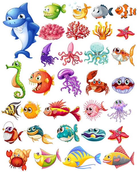 Different types of sea animals — Stock Vector
