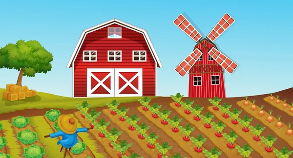 Tierras de cultivo con cultivos en la granja — Vector de stock