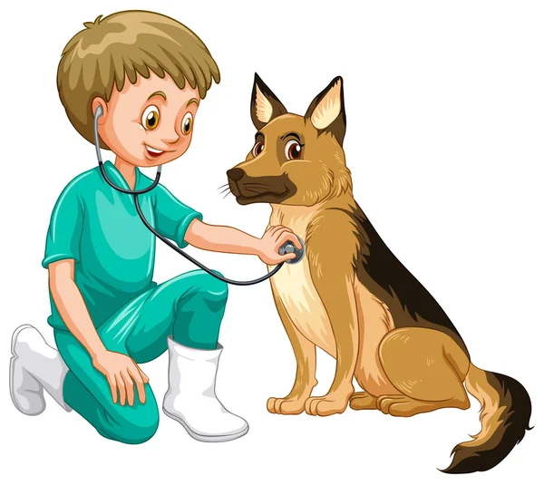 Veterinario perro examinador con estetoscopio — Vector de stock