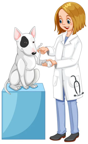 Veterinaria envolviendo la pierna del perro — Vector de stock