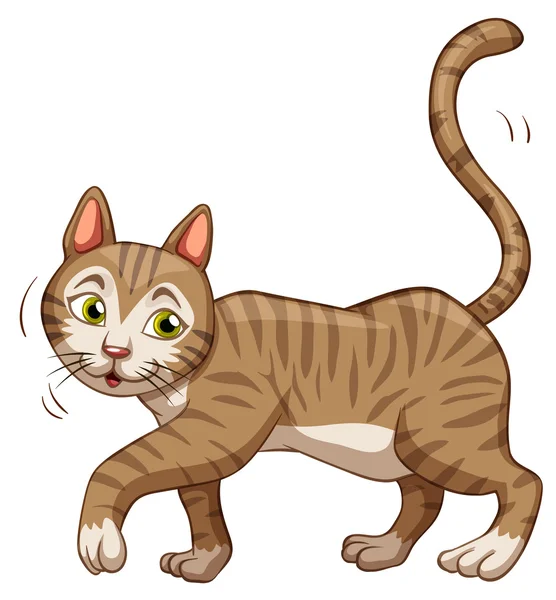 褐色小猫走 — 图库矢量图片