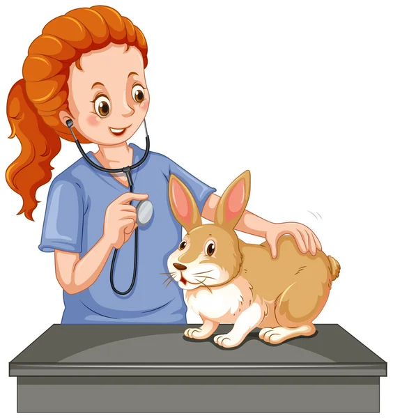 Vet examining little bunny — Stock Vector