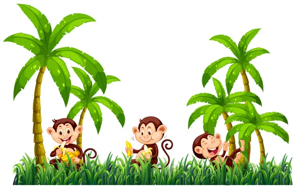 Three monkeys eating bananas — Stock Vector