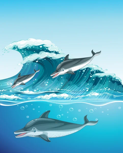 Trois dauphins nageant dans l'océan — Image vectorielle