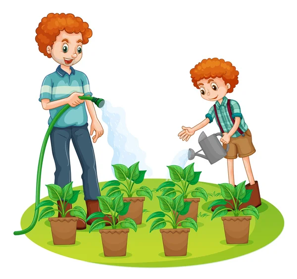Ojciec i syn podlewanie roślin — Wektor stockowy