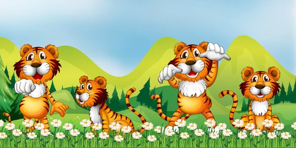 Quatre tigres dans le champ de fleurs — Image vectorielle