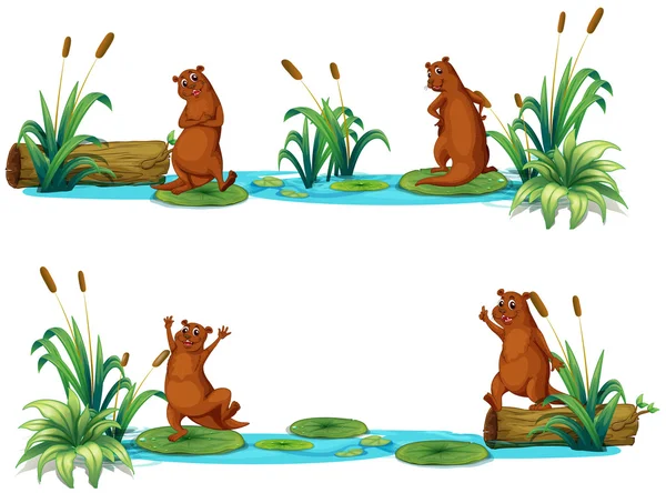 Beavers living by the pond — Stock Vector